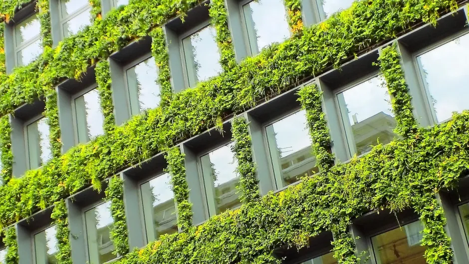 Blick auf eine begrünte Häuserfassade eines Hochhauses